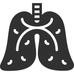 Icon 4
