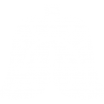 Icon 4h