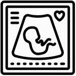 نوار قلب جنین