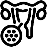 بیماری های زنان بیماری های زنان